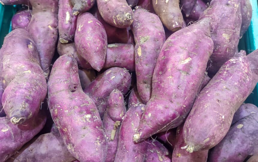 Can This One Vegetable Help You Live To 100? | SuperAging